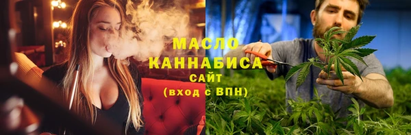 гашик Ладушкин