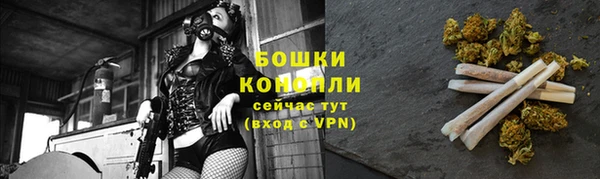 гашик Ладушкин