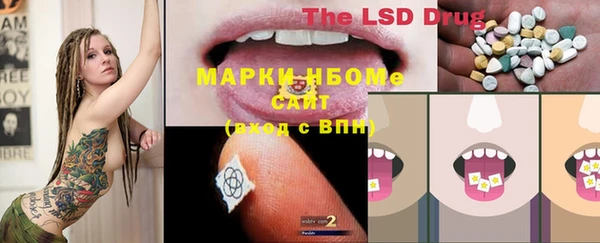 гашик Ладушкин