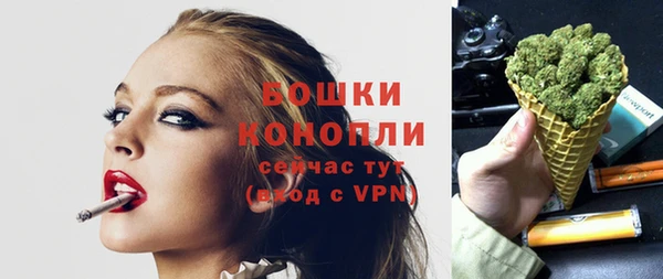 гашик Ладушкин