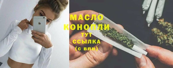 гашик Ладушкин