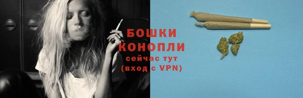 гашик Ладушкин