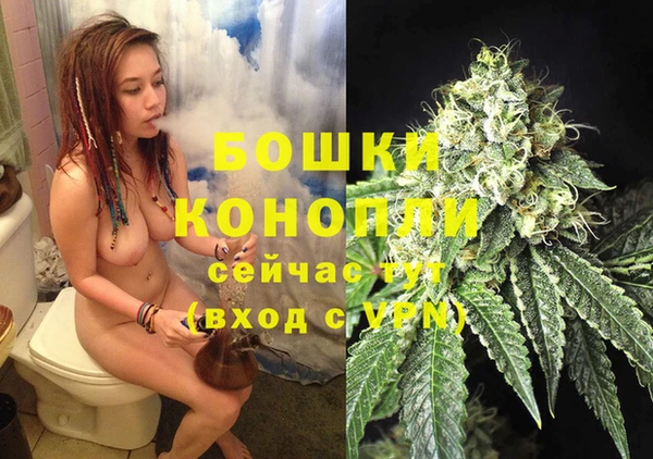 гашик Ладушкин