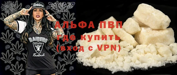 гашик Ладушкин