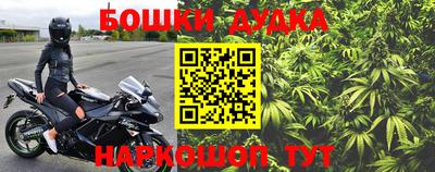 дурь Сланцы