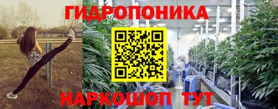 дурь Сланцы