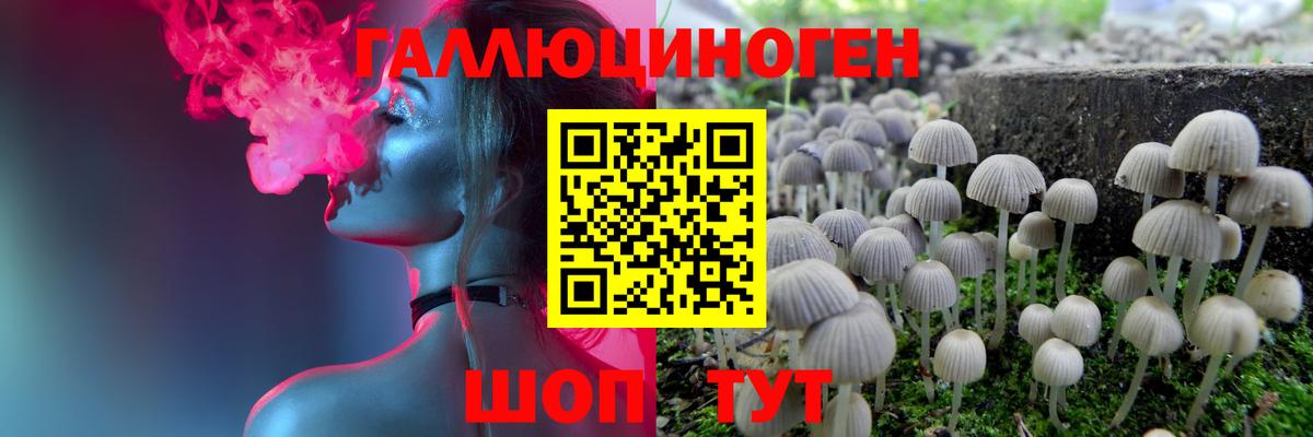 Галлюциногенные грибы Psilocybine cubensis Среднеуральск